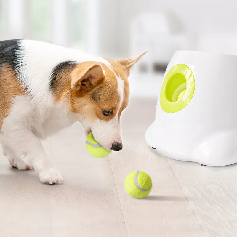 Dog Toy Automatic Tennis Ball with 3 Balls for Dog Training