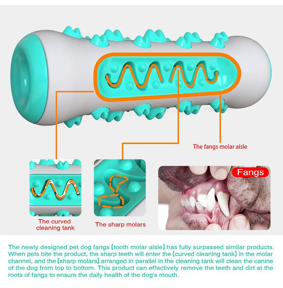 Extra Tough Molar Toothbrush Cleaning Pet Dog Chew