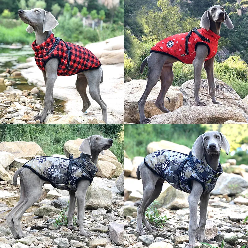 Warm Large Pet Dog Jacket With Harness