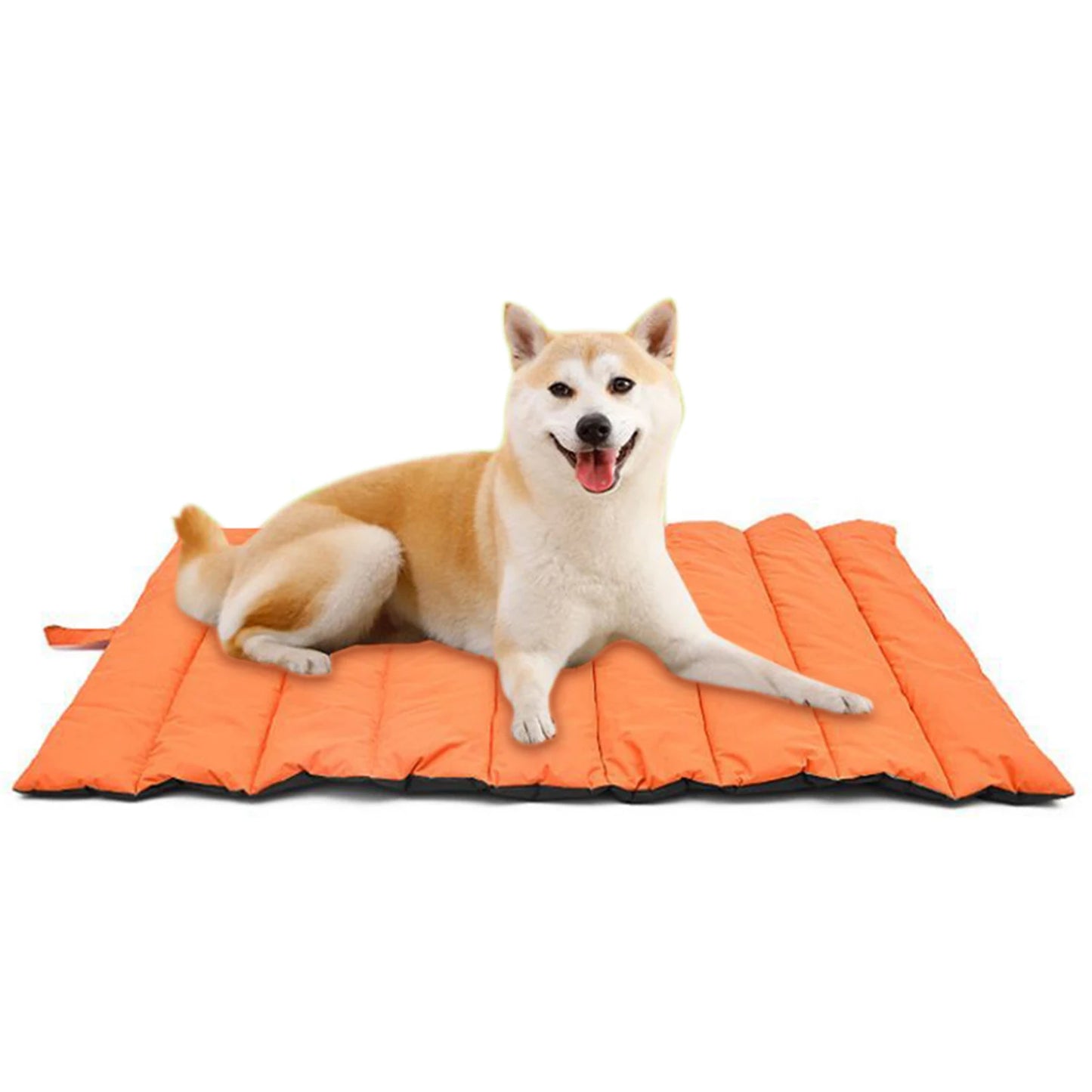 Portable, Waterproof, Foldable, & Easy to Clean Pet Bed with Storage Carry Bag