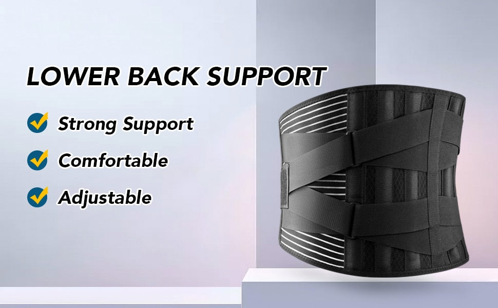 Lower Back Support Belt - littleblackbears