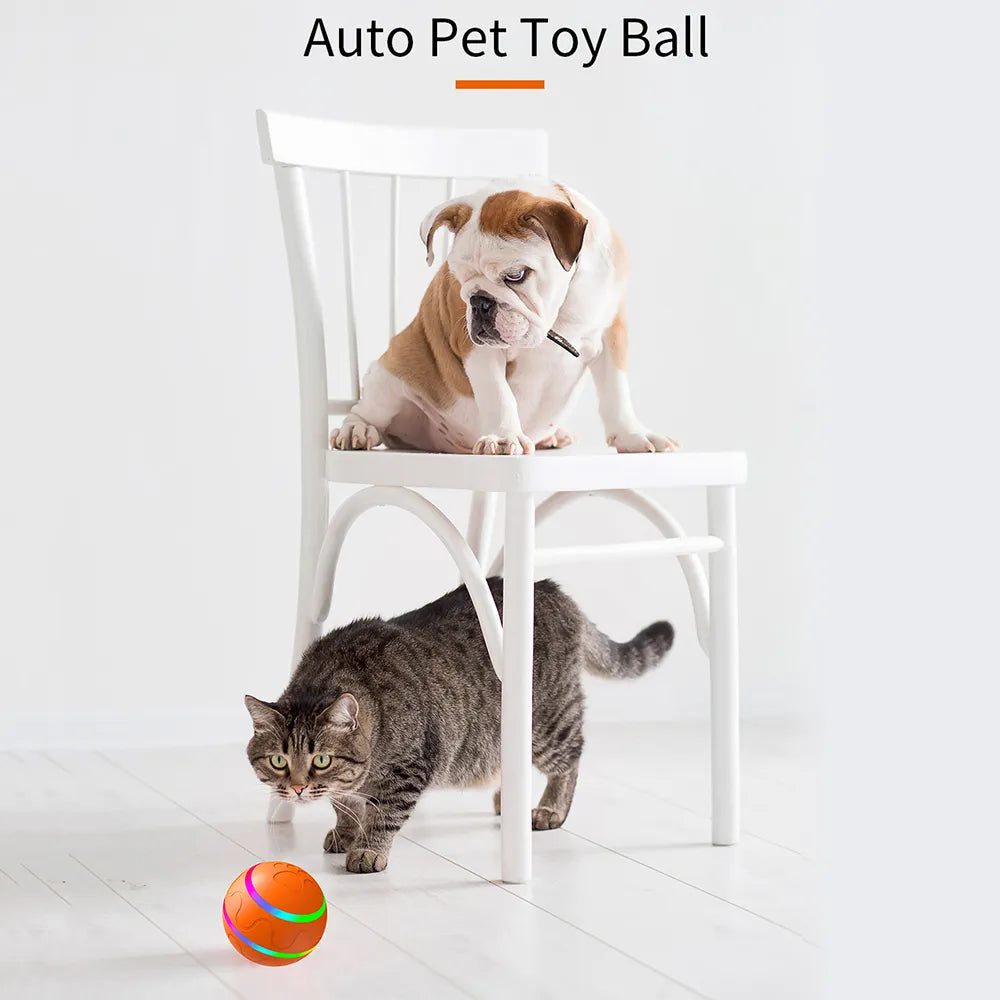 USB Rechargeable Smart interactive Rotating, Jumping Ball Pet Toy for Dog or Cat