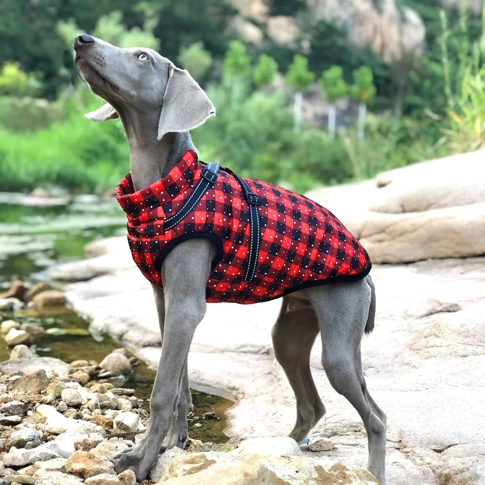 Warm Large Pet Dog Jacket With Harness